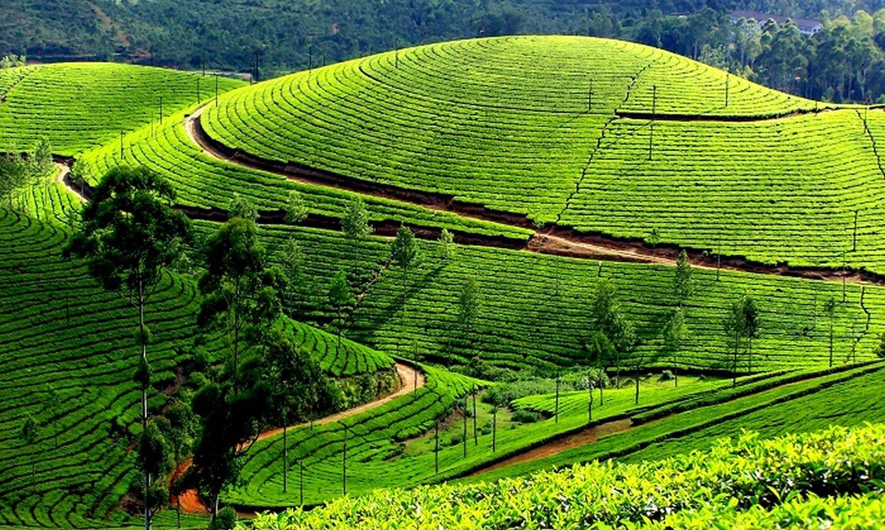 Kerala Tourist Places 2025