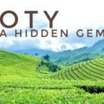 Places To Visit in Ooty 2025