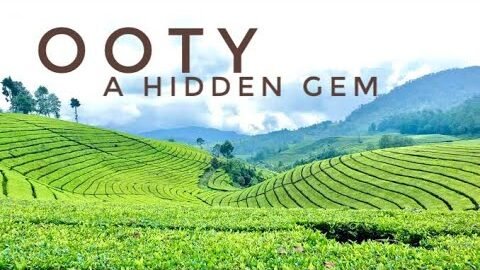 Places To Visit in Ooty 2025